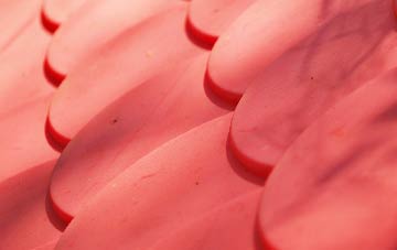 Little Hay plastic roof costs